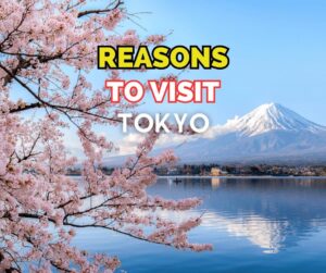 Reasons To Visit Tokyo